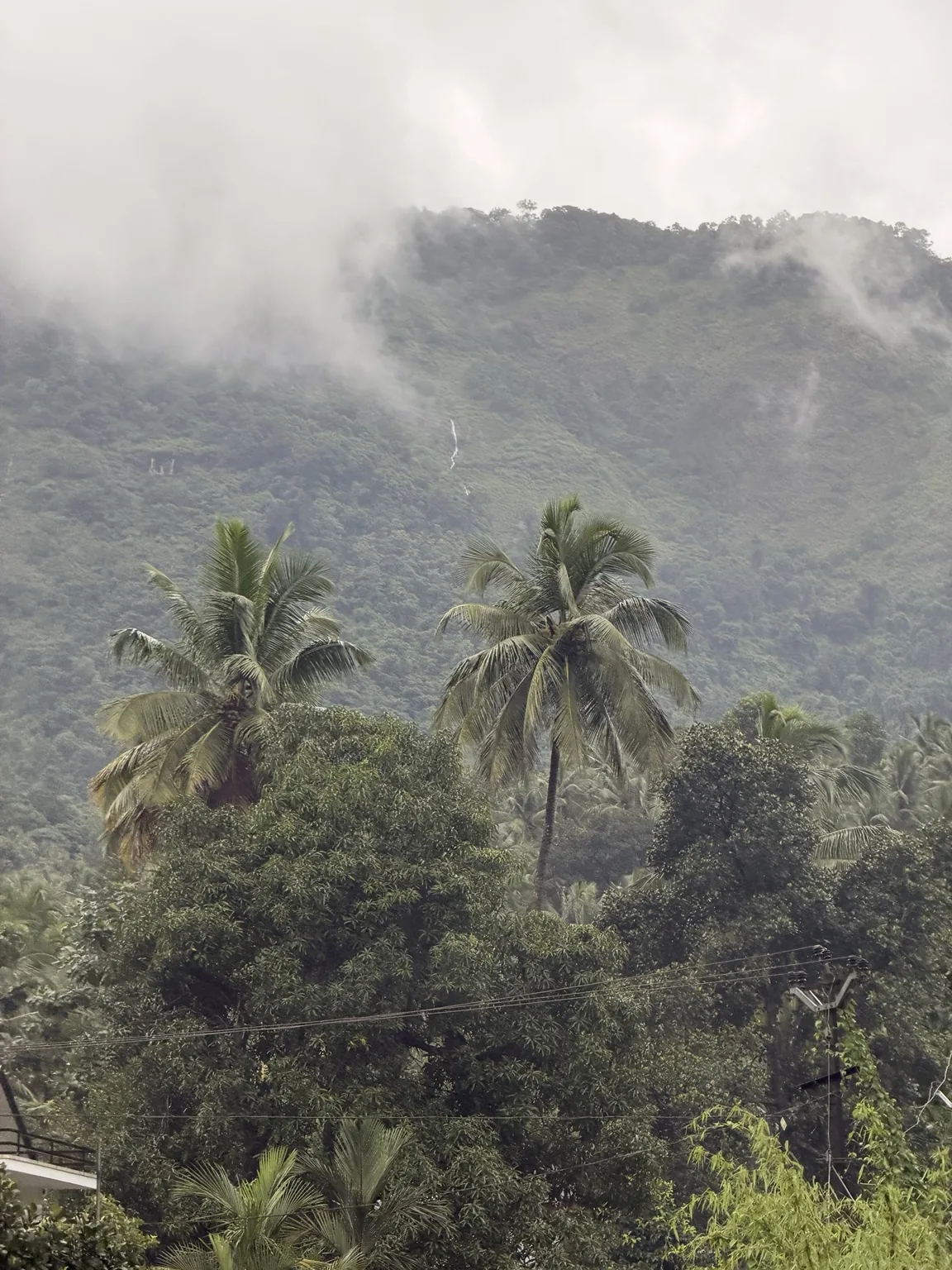 Misty green mountain landscape in Aanakkampoyil