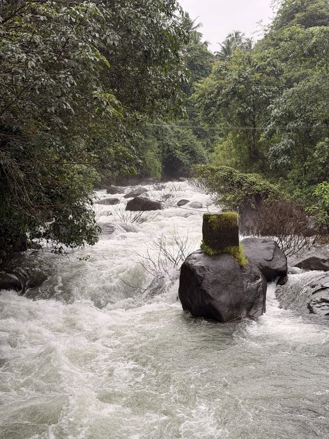 Fast flowing river surrounded by greenery in Aanakkampoyil